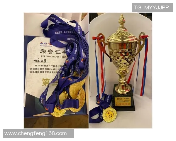 北京羽毛球队与南京羽毛球队赛后复盘分析力量对比与战术探讨