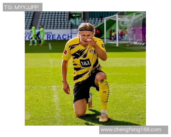 哈兰佛足球明星的传奇故事与辉煌成就揭秘