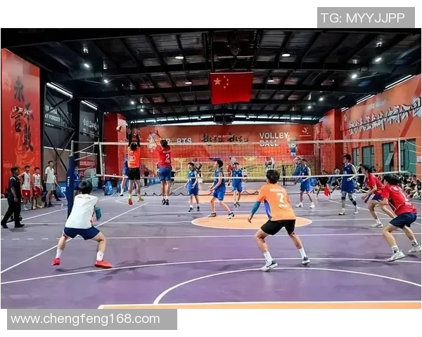 武汉排球队的奋斗与荣耀：一段不平凡的排球纪实之旅