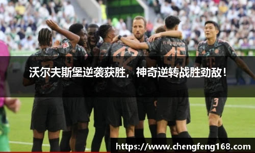 九游会j9官网