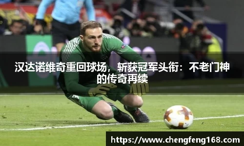 汉达诺维奇重回球场，斩获冠军头衔：不老门神的传奇再续